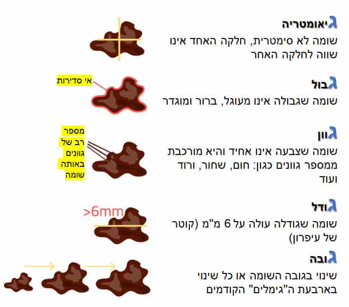 חמשת הגימלים המהווים סימנים מחשידים למלנומה